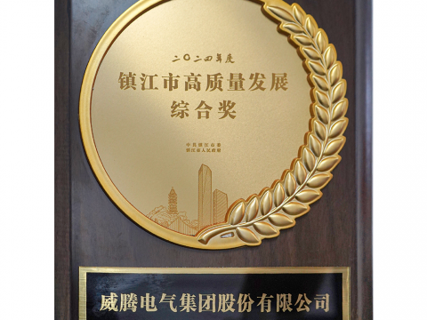 喜讯│威腾电气集团股份有限公司荣获2024年度镇江市高质量发展综合奖